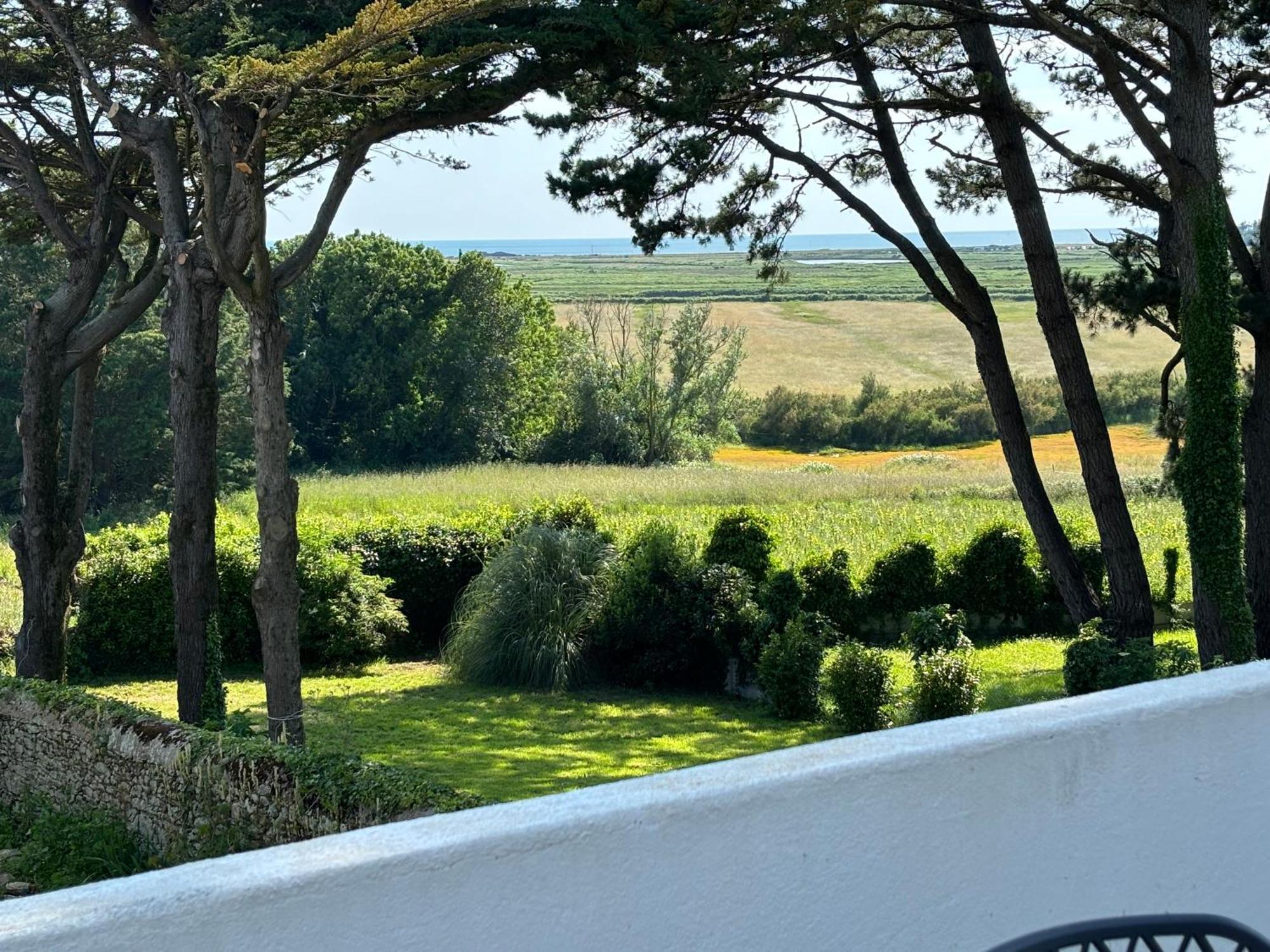 Villa Vieilles Vignes Vue Mer Billiers Exterior foto